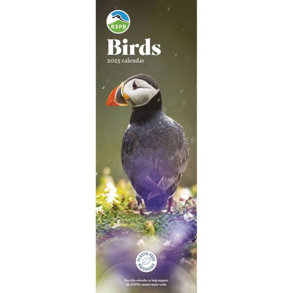 RSPB Birds 2025 Calendar